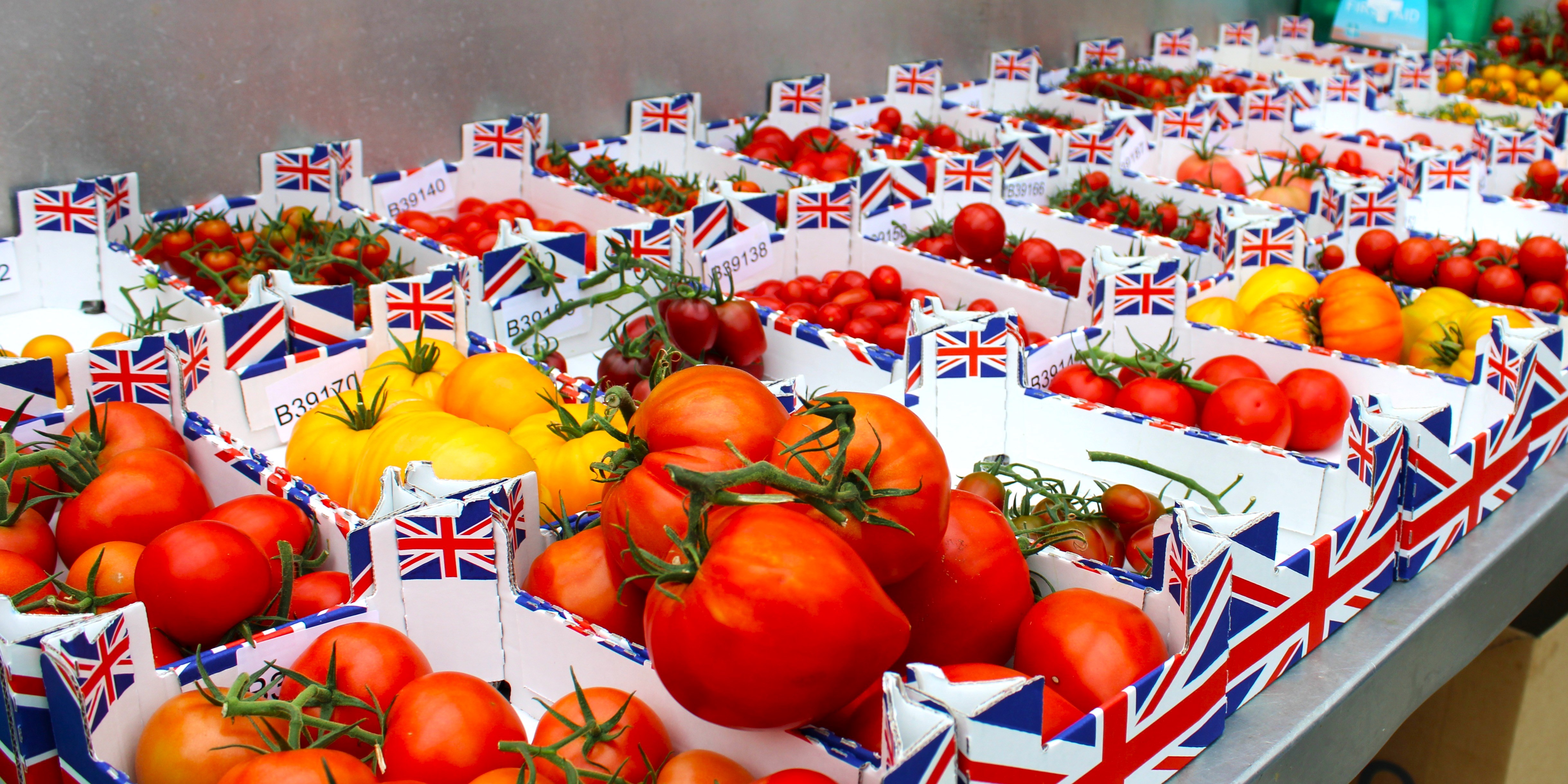 A photograph of several varieties of tomato, including a range of colours and sizes.